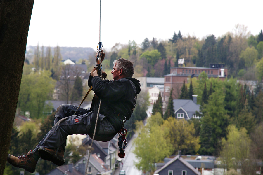 Tree Climbing over Wuppertal