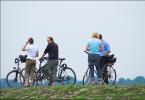 Cyclists at Rhine Bank