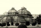 Schönbrunn Palm House