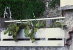 Provence Balcony Flowers