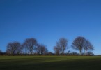 Evening Shadows