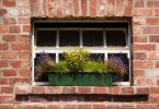 Window Sill