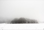 Winter Impression