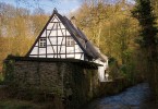 Timber Frame House