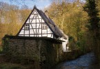 Timber Frame House