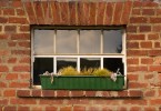 Window Sill in Winter