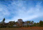 Colourful Clear Cutting