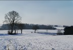 Winterlandschaft