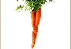 Carrots in Love