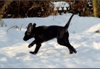 Katie Playing in the Snow 3