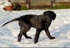 Katie Playing in the Snow 5