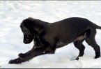 Katie Playing in the Snow 6